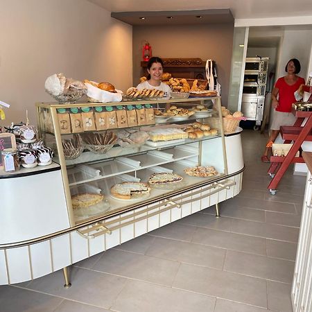 Appartement Haus Rebenblick à Dierbach Extérieur photo