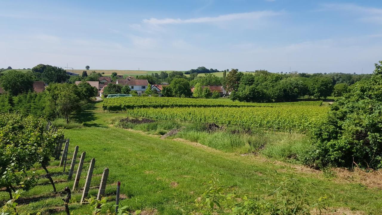 Appartement Haus Rebenblick à Dierbach Extérieur photo