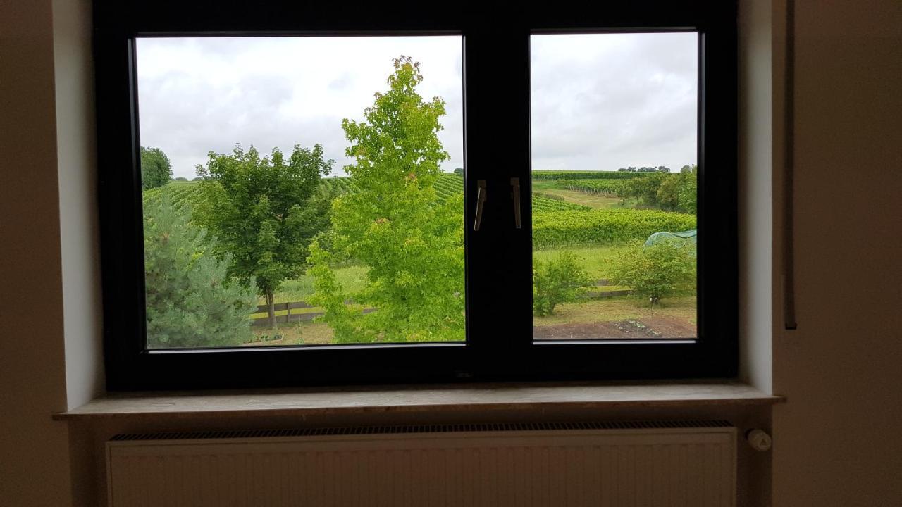 Appartement Haus Rebenblick à Dierbach Extérieur photo