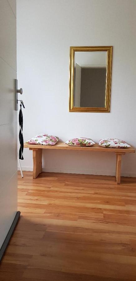 Appartement Haus Rebenblick à Dierbach Extérieur photo