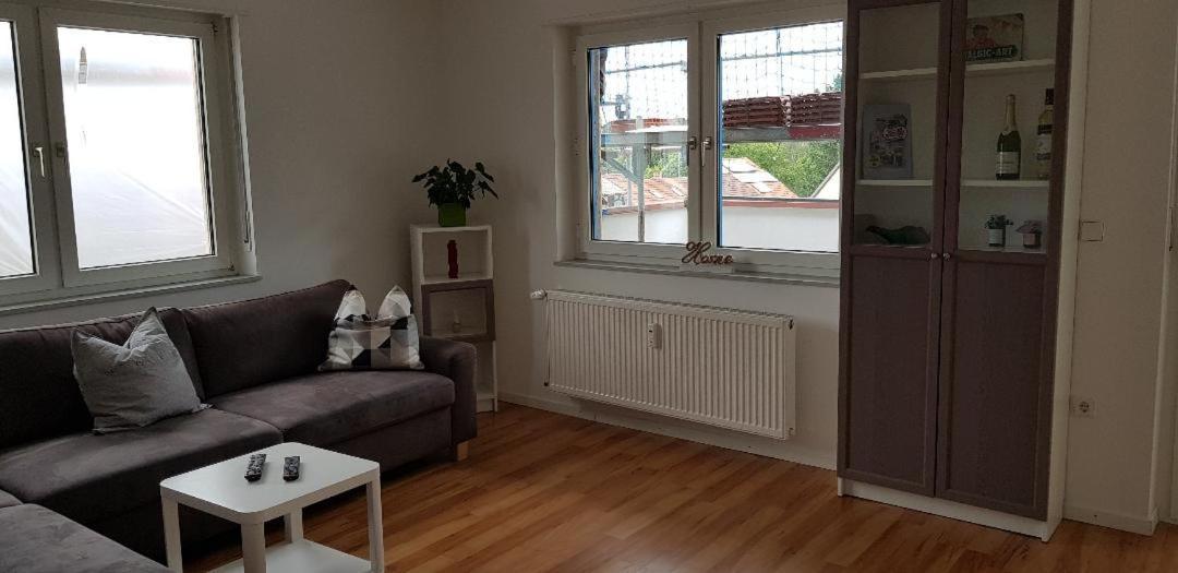 Appartement Haus Rebenblick à Dierbach Extérieur photo